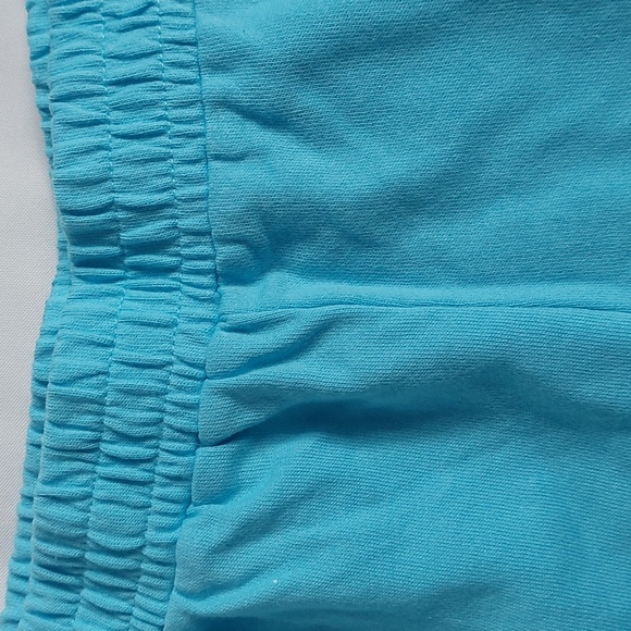 Blues clues Nickelodeon women's Graphic Lounge shorts pull on Blue size XL-G - Picture 11 of 11